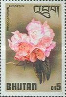 Pink Arboreum (Rhododendron arboreum)
