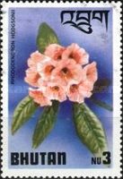 Rhododendron hodgsonii