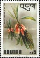 Rhododendron keysii