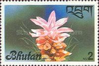 Flowers - 1976