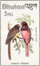 Ward's Trogon (Harpactes wardi)