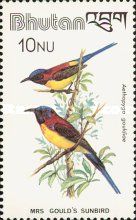 Mrs. Gould's Sunbird (Aethopyga gouldiae)