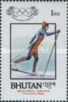 Cross-country skiing