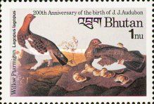 Willow Ptarmigan (Lagopus lagopus)