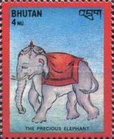 The Precious Elephant
