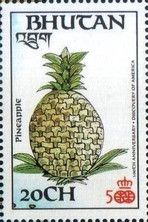 Pineapple (Ananas comosus)