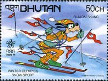 Snow sport - Slalom skiing - Goofy