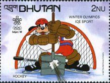 Ice sport - Ice Hockey - Goofy