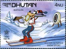 Snow sport - Biathlon - Goofy