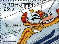 Snow sport - Ski jumping - Goofy