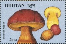 Boletus regius