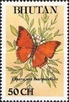 Emperor Butterfly (Charaxes harmodius)