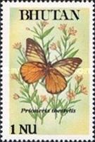 Spotted Sawtooth (Prioneris thestylis)