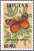 Redspot Jezebel (Delias descombesi)