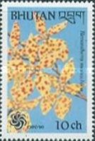 Renanthera monachica