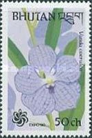 Vanda coerulea