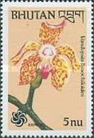 Vandopsis lissochiloides