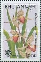 Paphiopedilum rothschildianum