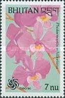 Phalaenopsis schilleriana