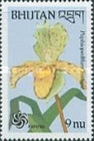 Paphiopedilum insigne