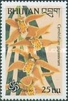 Cymbidium giganteum