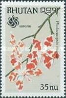 Phalaenopsis mariae