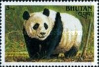 Giant Panda (Ailuropoda melanoleuca)