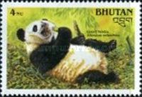 Giant Panda (Ailuropoda melanoleuca)