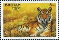 Tiger (Panthera tigris)