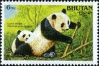 Giant Panda (Ailuropoda melanoleuca)