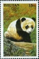 Giant Panda (Ailuropoda melanoleuca)