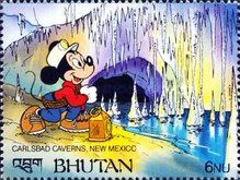 Carlsbad Caverns, New Mexico - Mickey