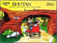 The Sequoia National Park, California - Mickey, Minnie