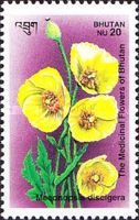 Meconopsis discigera