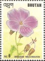 Geranium wallichianum