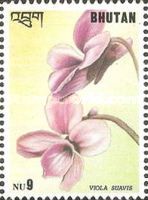Viola suavis