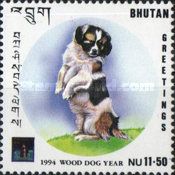 Dog (Canis lupus familiaris)