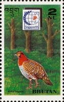 Blyth's Tragopan (Tragopan blythii)