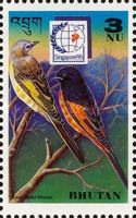 Long-tailed Minivet (Pericrocotus ethologus)