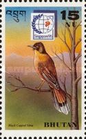 Rufous Sibia (Heterophasia capistrata)