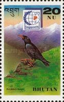 Red-billed Chough (Pyrrhocorax pyrrhocorax)