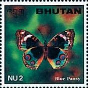 Blue Pansy (Junonia orithya)