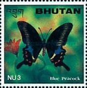 Blue Peacock (Papilio arcturus)