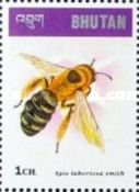 Giant Himalayan Honeybee (Apis laboriosa)