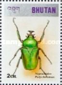 Flower Chafer (Neptunides polychromus)