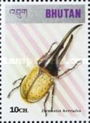 Hercules Beetle (Dynastes hercules)