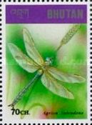 Banded Demoiselle (Agrion splendens)