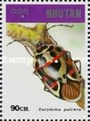 Stinkbug (Eurydema pulchra)