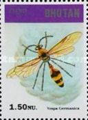 German Wasp (Vespa germanica)