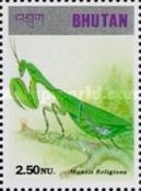 Praying Mantis (Mantis religiosa)